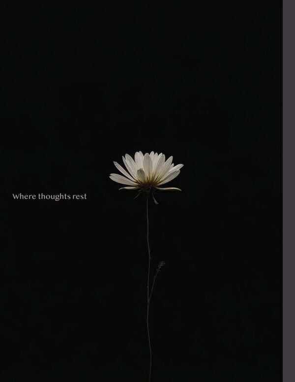 In Bloom - White Daisy Diary - Image 5