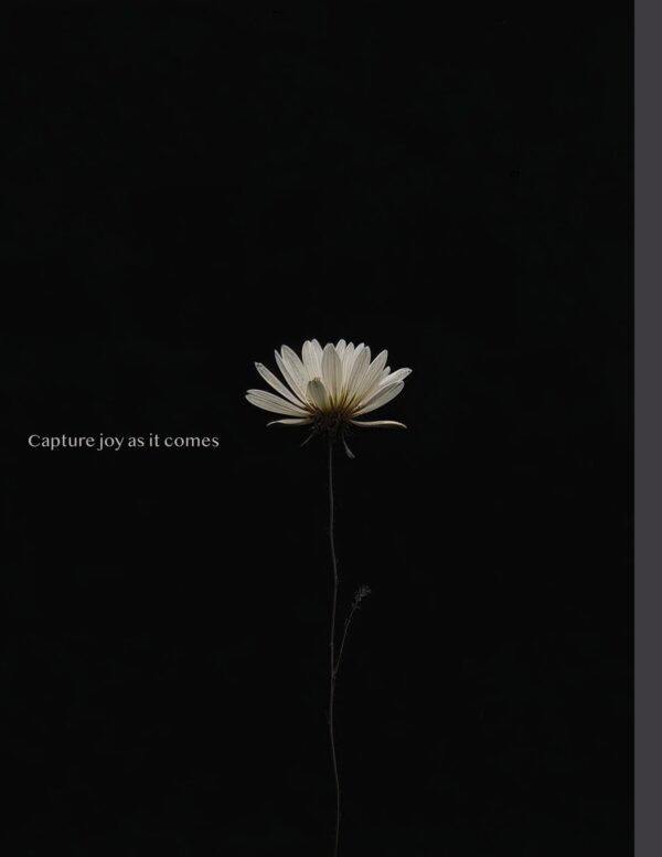 In Bloom ? White Daisy Gratitude Journal - Image 5